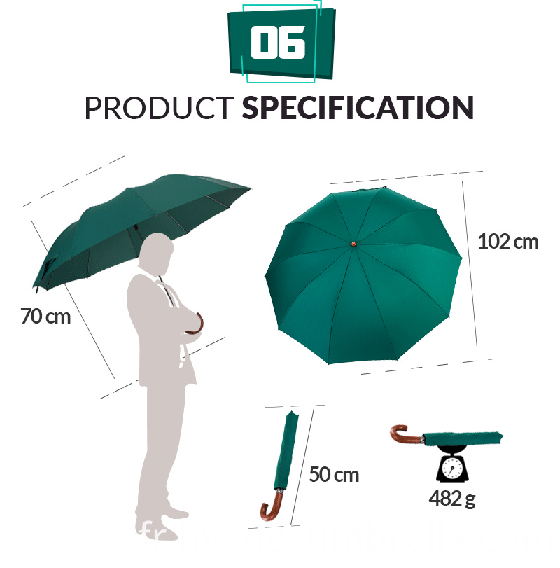 Vert 10 nervures Auto Open 2 sections pliant parapluie Spec Green 10 Ribs Auto Open 2 Sections Folding Umbrella Spec